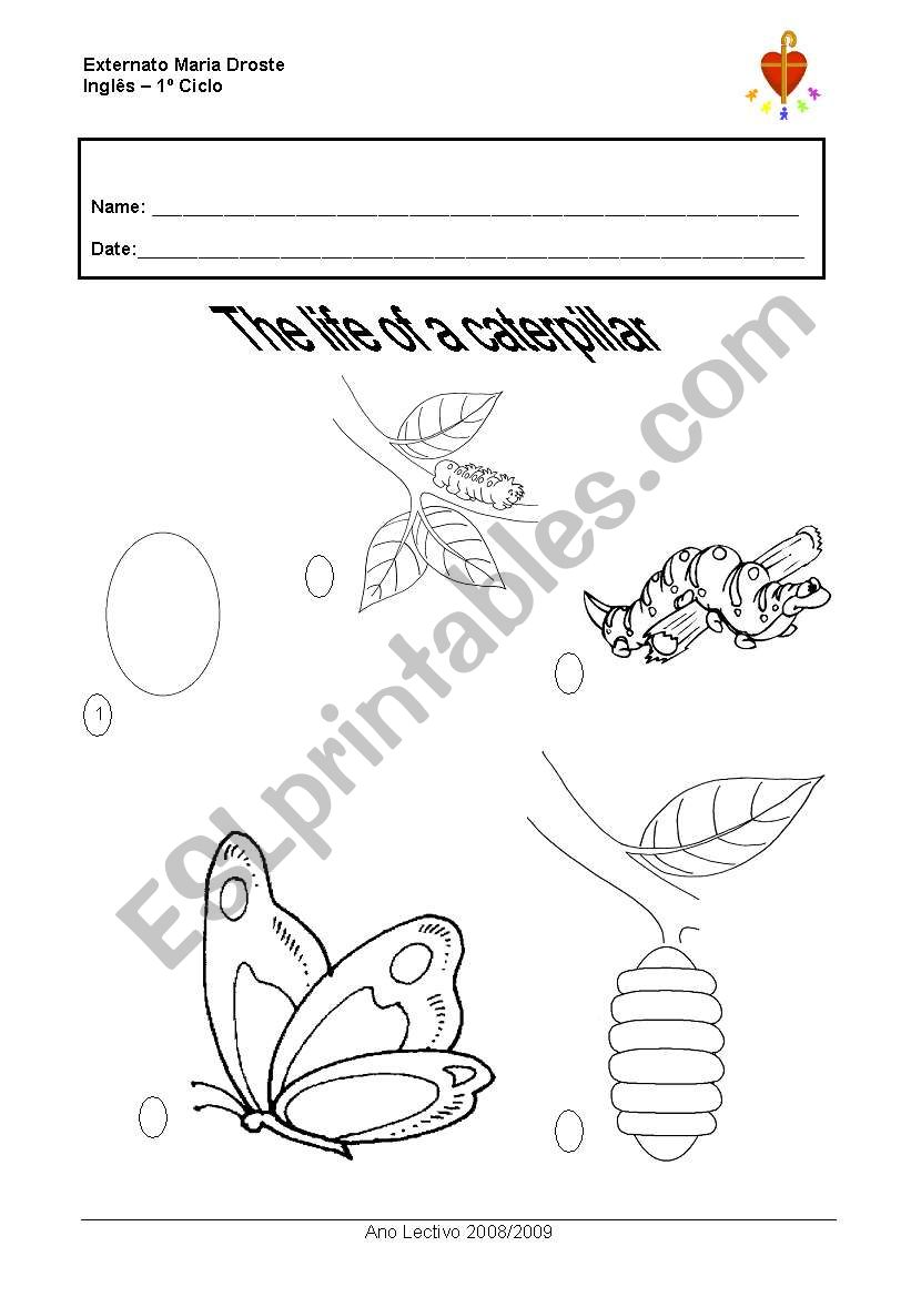 The life of a caterpillar worksheet