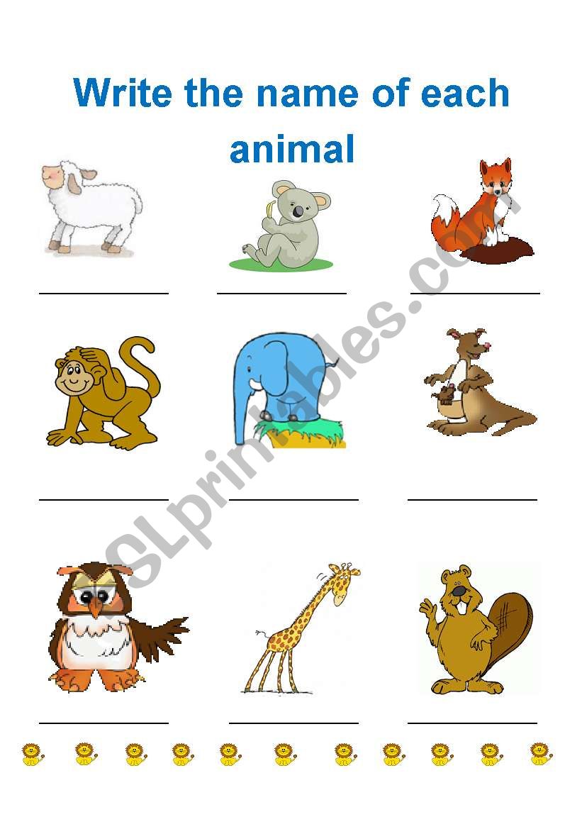 animals worksheet