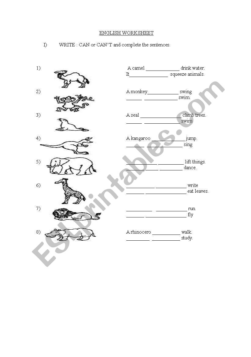 MODAL VERB CAN worksheet