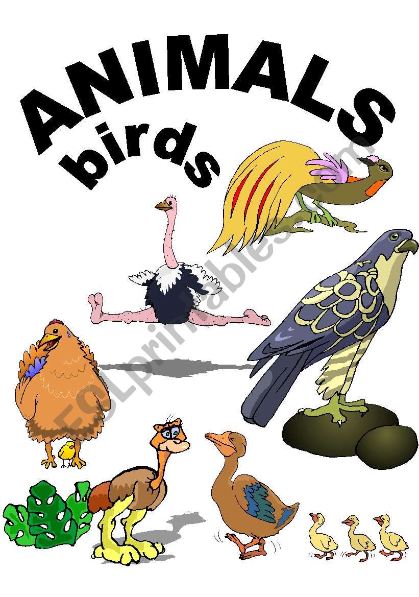 ANIMALS, BIRDS worksheet