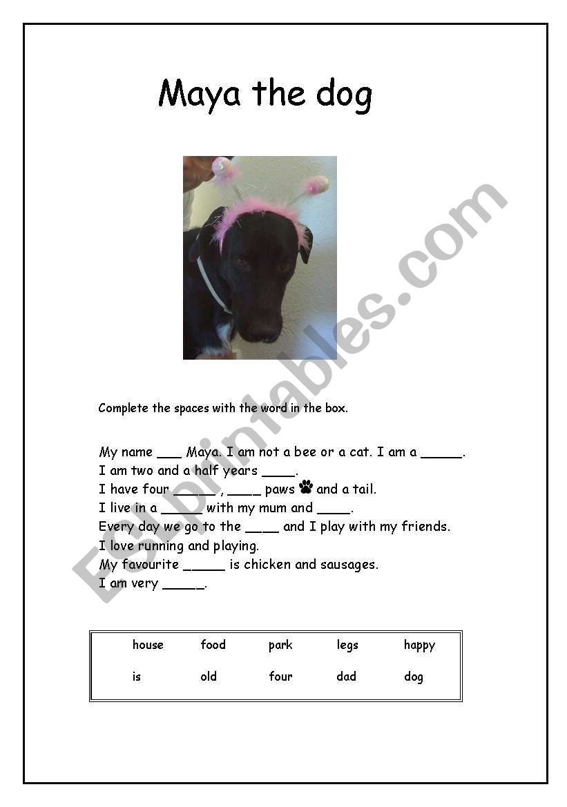 Maya the dog worksheet