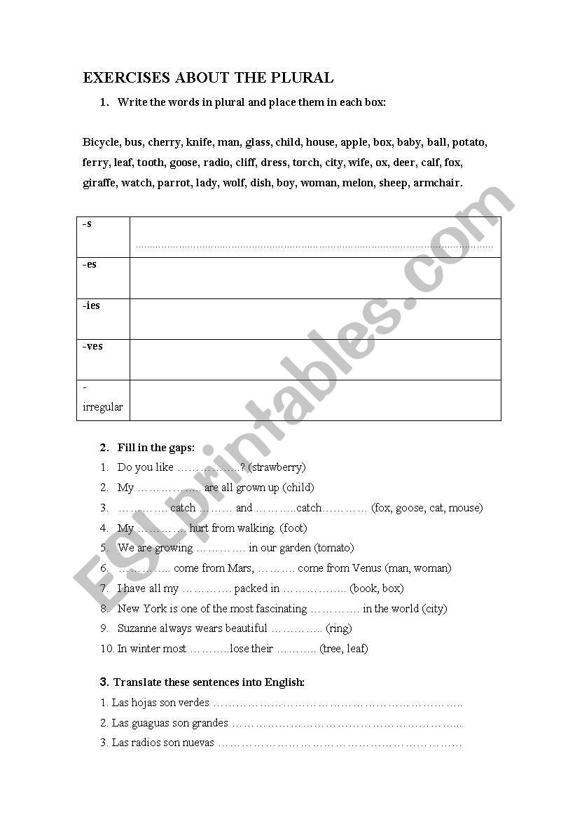 Sheet about the plural worksheet
