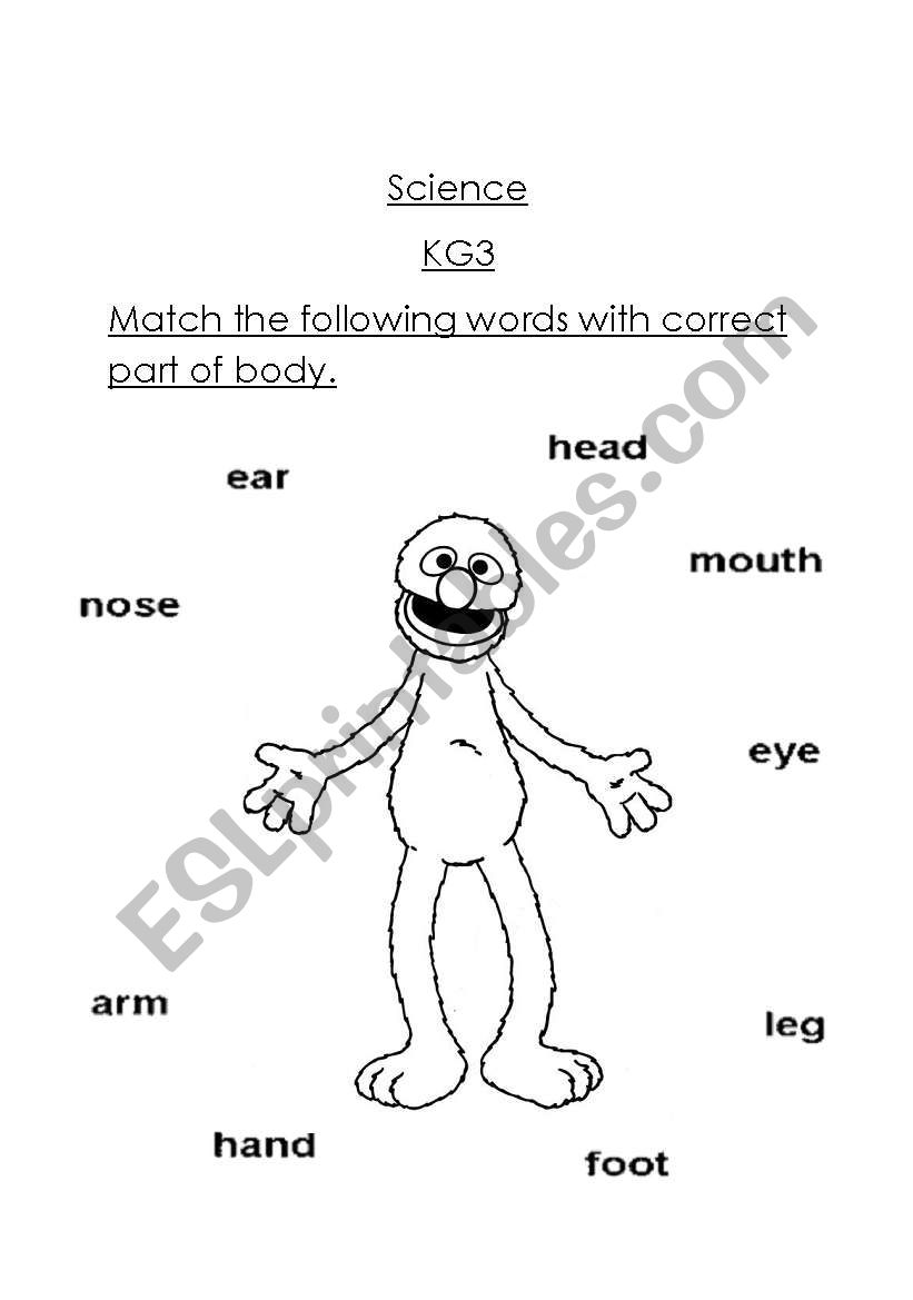 Parts of body worksheet