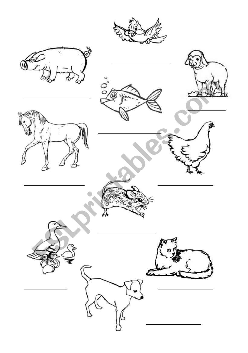 Colour and name the animals worksheet