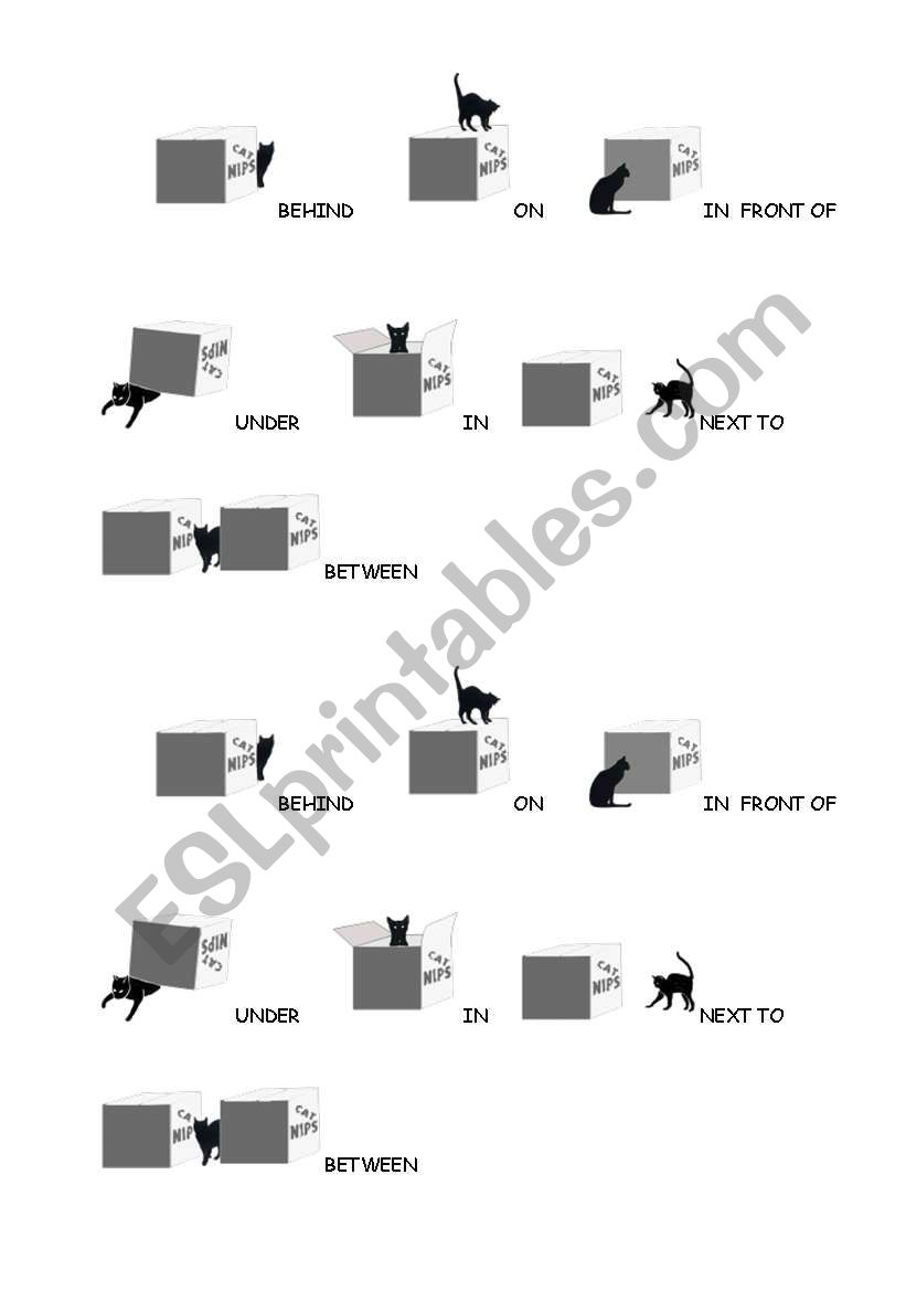 prepositions of place worksheet