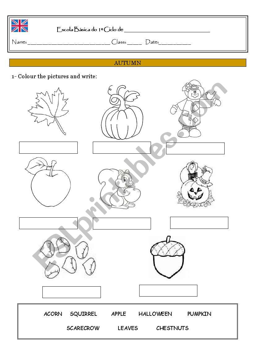 AUTUMN  worksheet