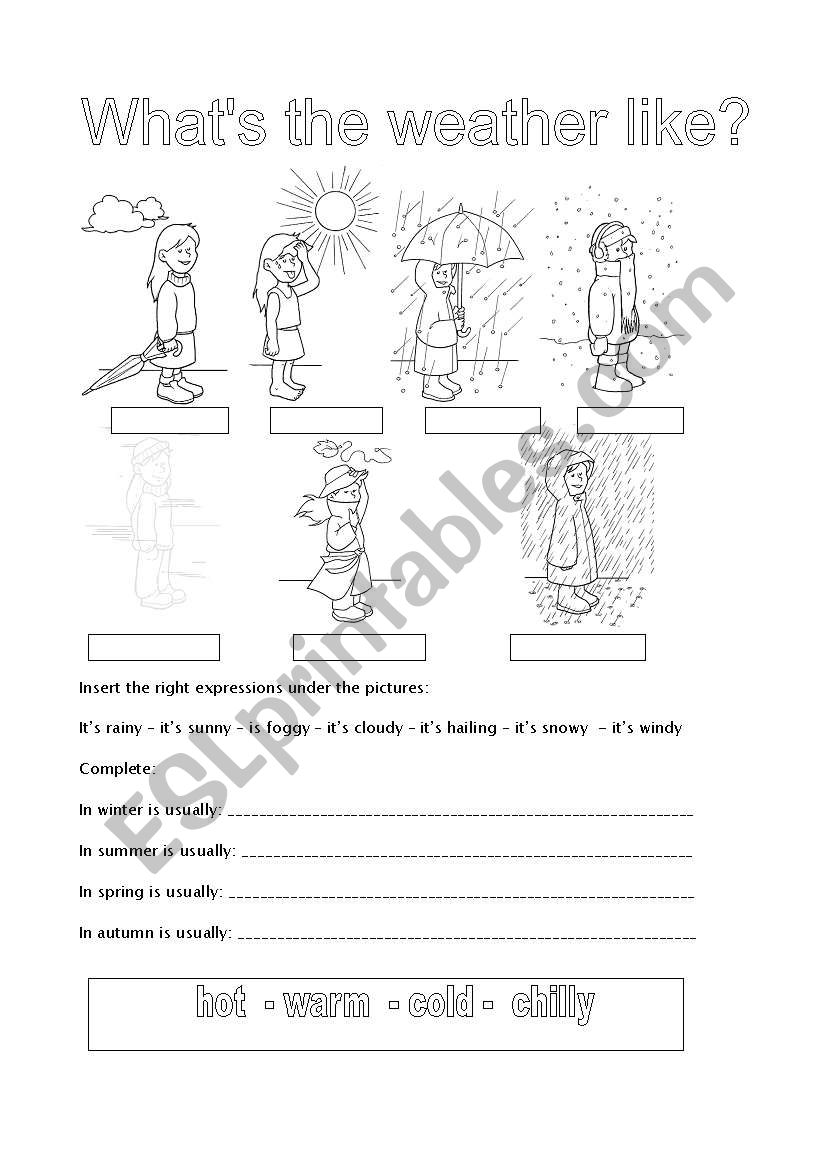 what is the weather like worksheet