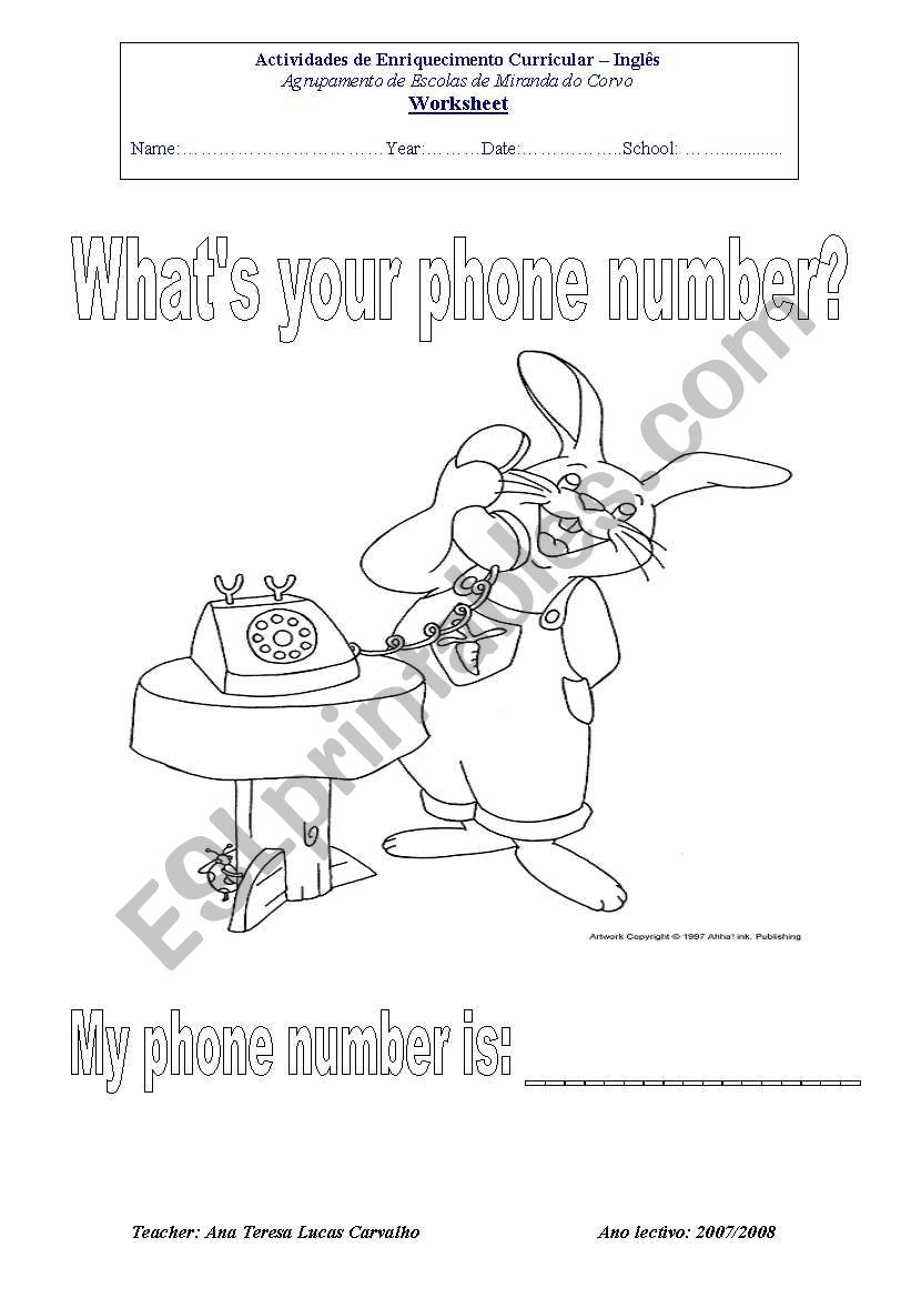 Phone number worksheet