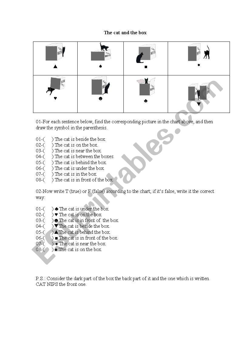 The cat and the box worksheet