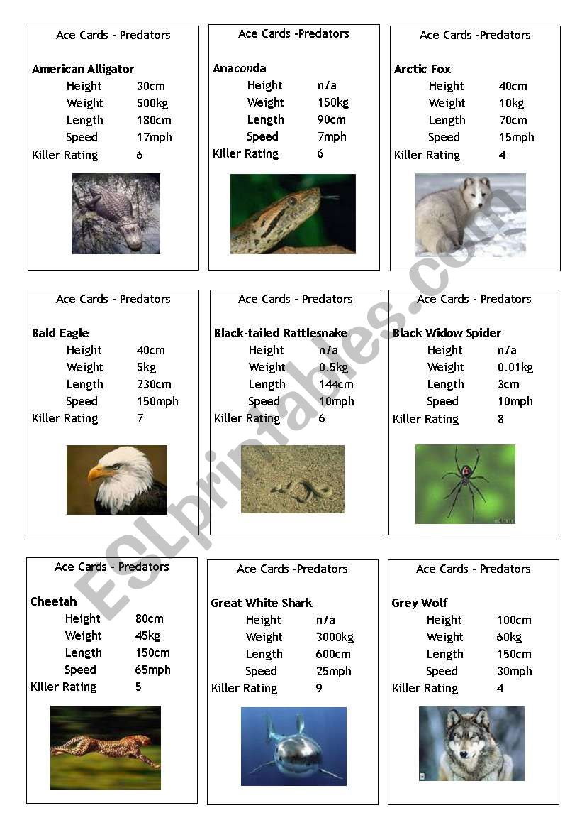 Ace Cards: Predators worksheet