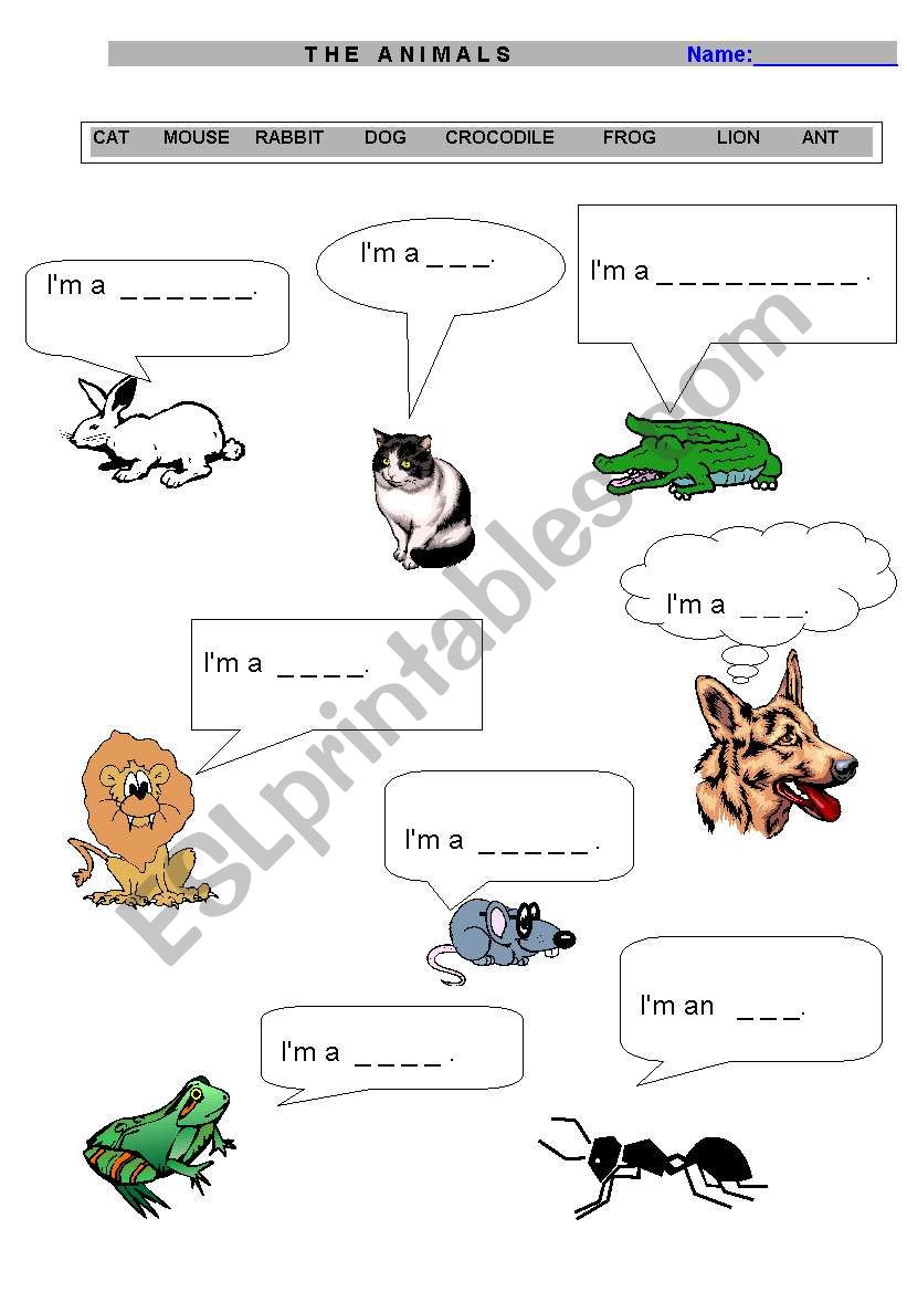 ANIMALS FOR BEGINNERS worksheet