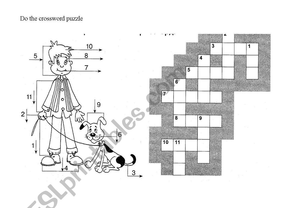 Do the crossword puzzle worksheet