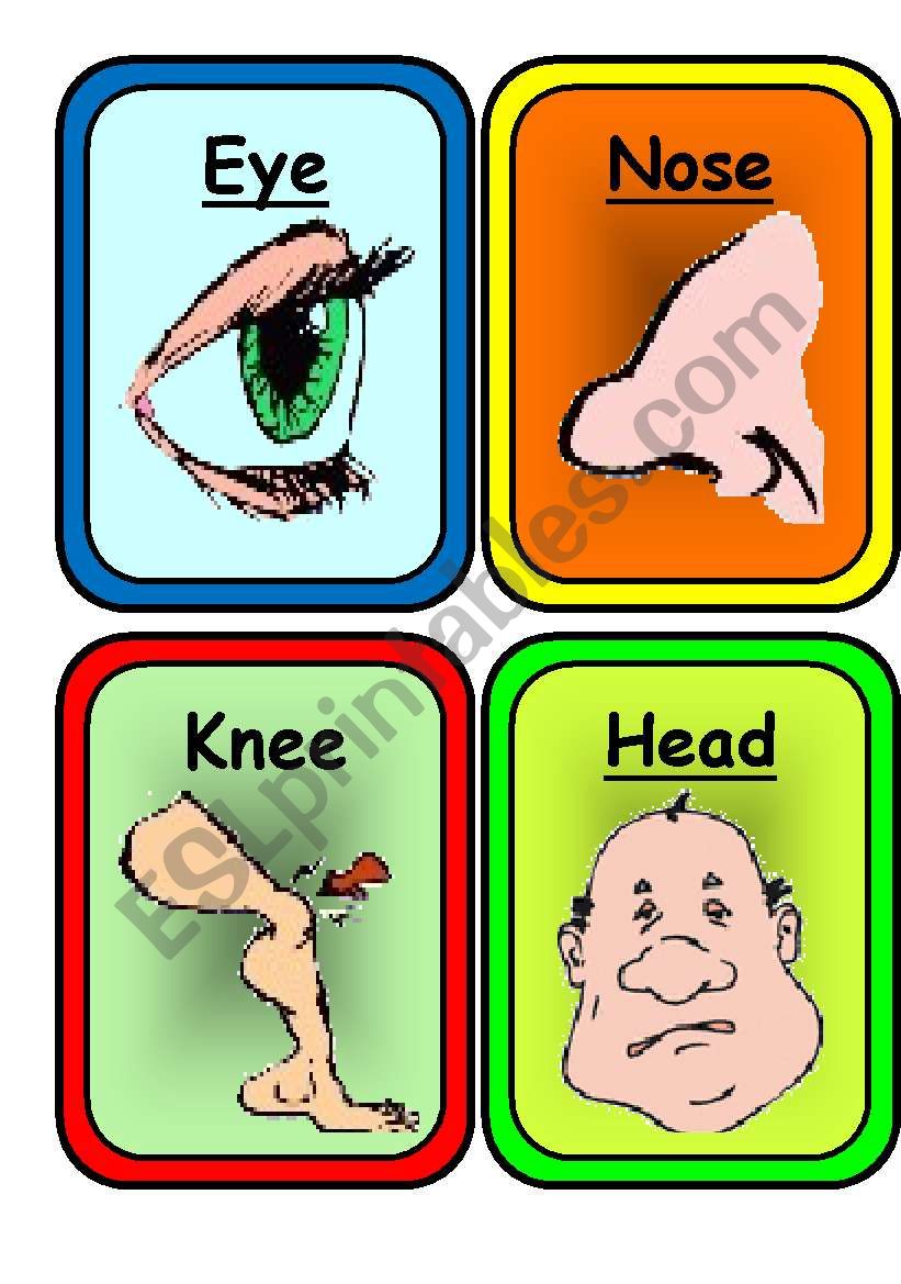 22 COLORFUL FLASHCARDS on  BODY and FACE- Ready to print and use in class !!!