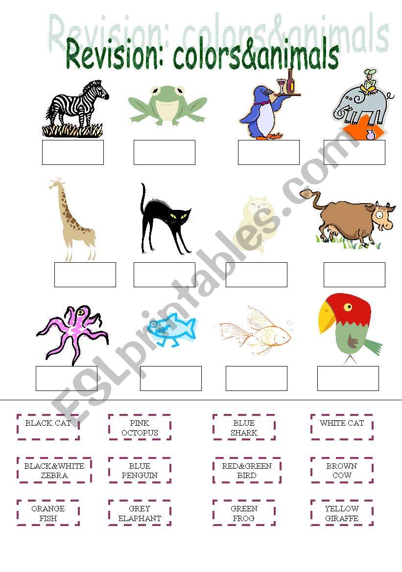 Animals and colors worksheet