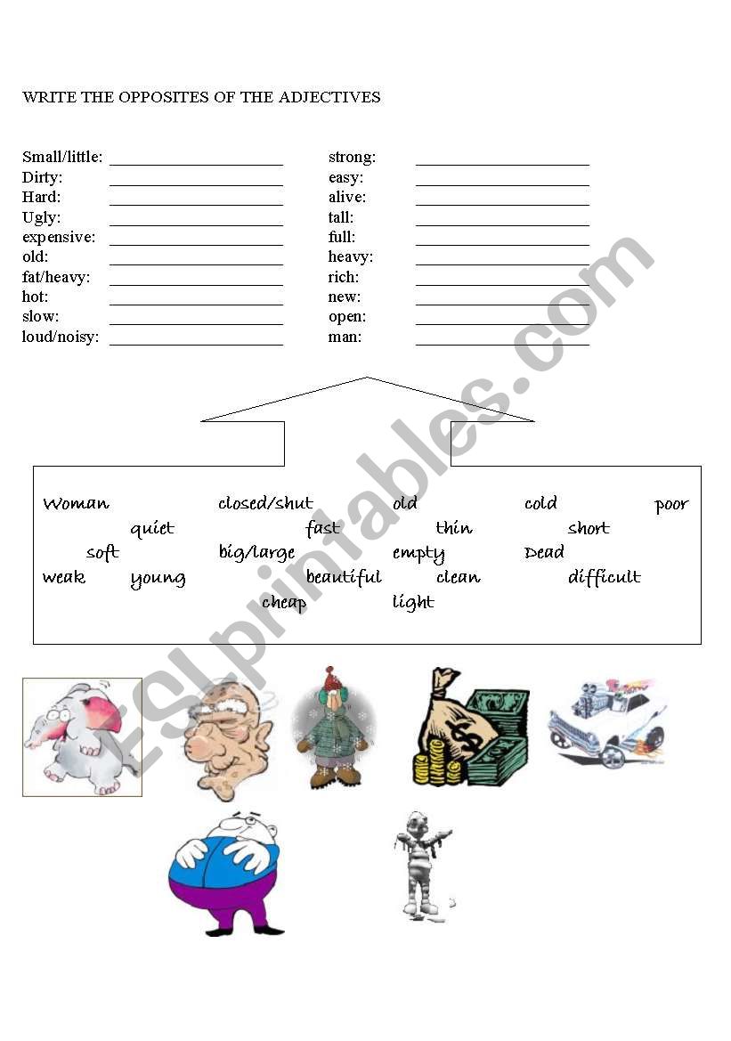 Opposites worksheet