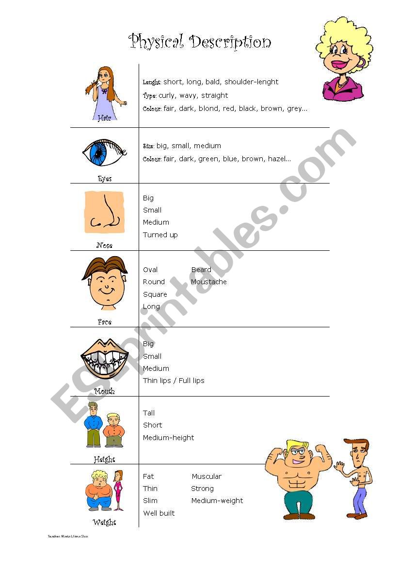 Physical description worksheet