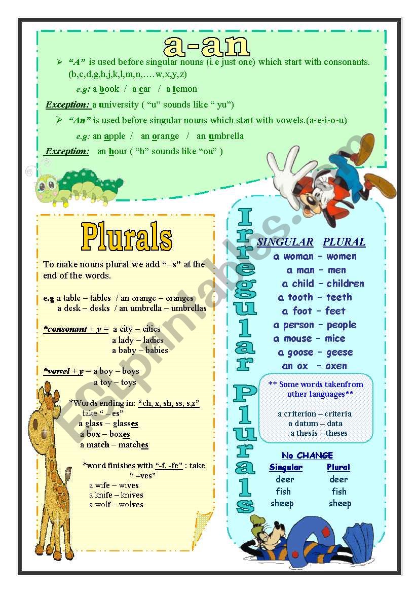 Singular and Plural nouns worksheet