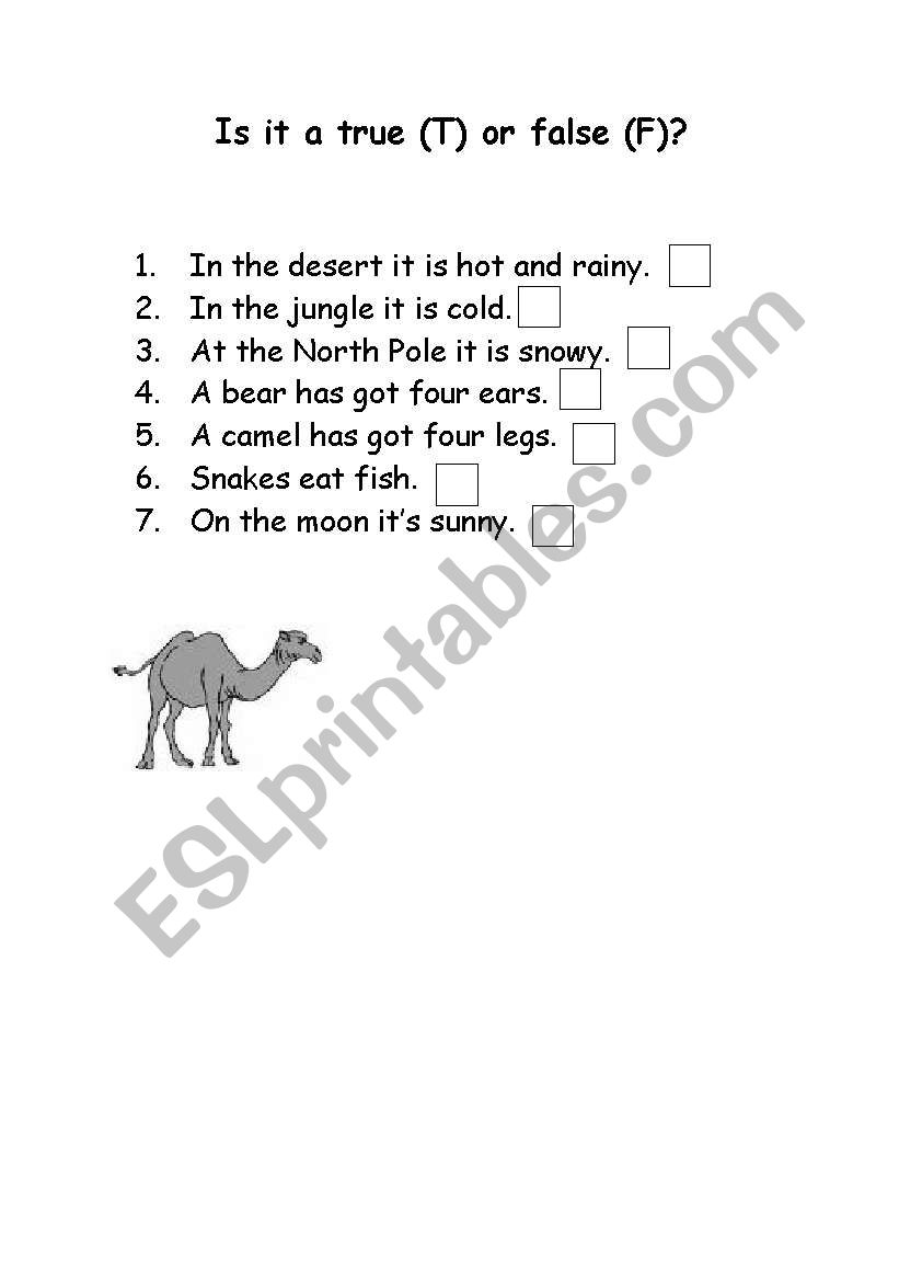 True or false? worksheet