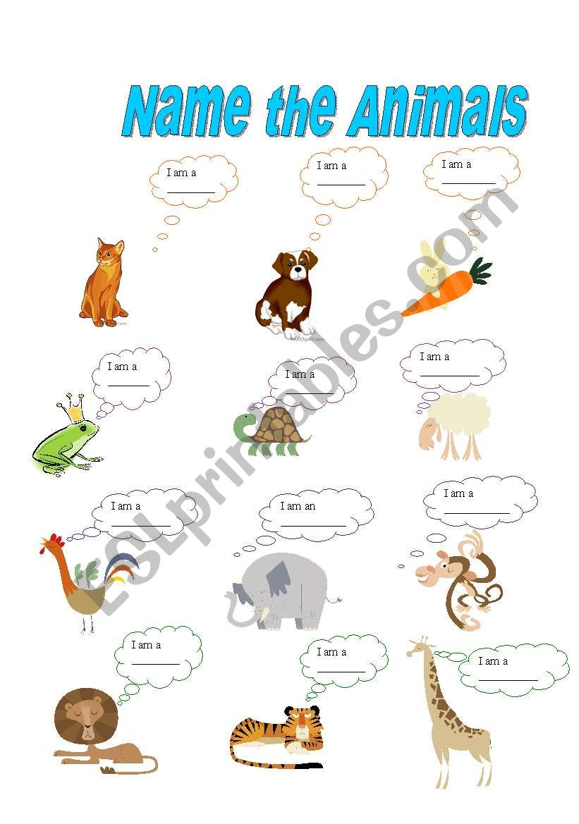 Name the animals worksheet