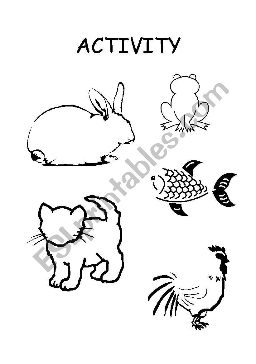 animals worksheet