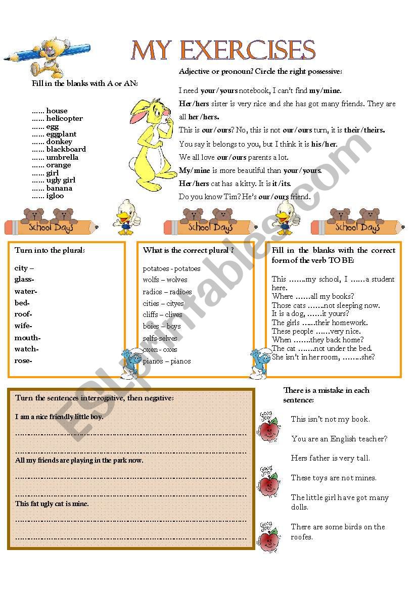 MY EXERCISES 1 worksheet