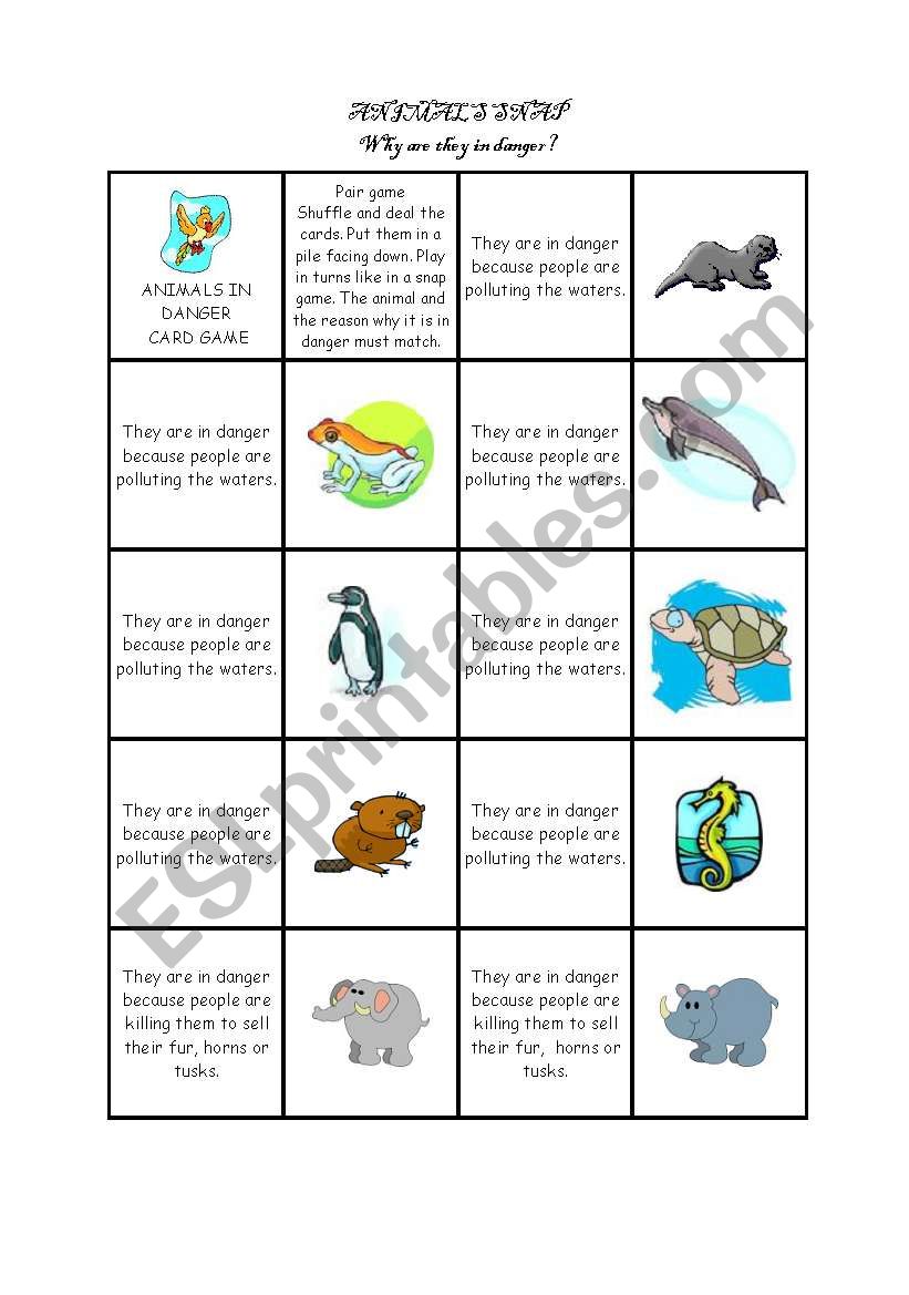 Animal snap worksheet