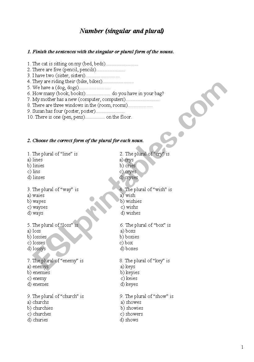 Singular and Plural worksheet