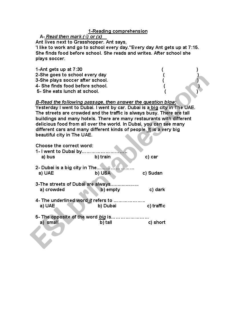 Reading comprehension worksheet