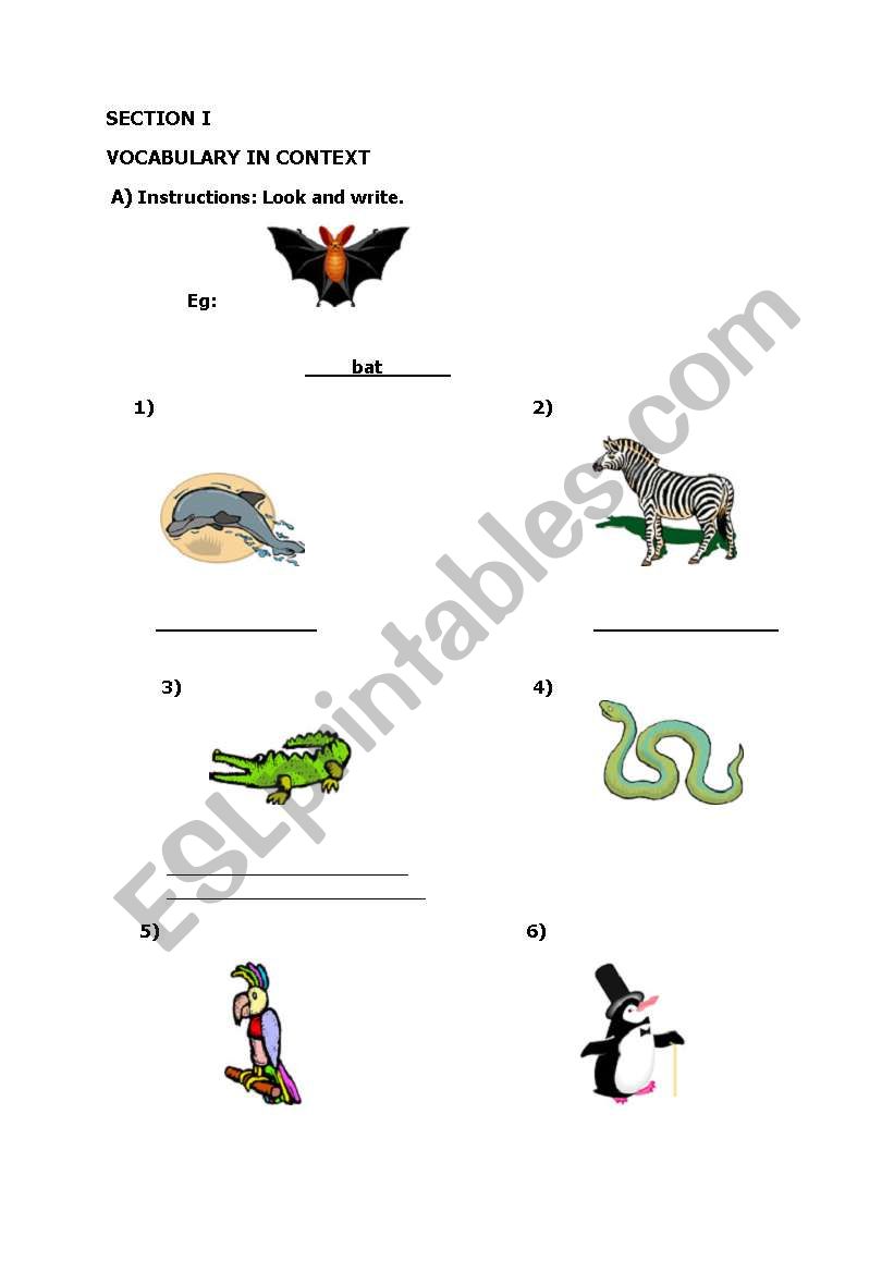 vocabulary and reading worksheet