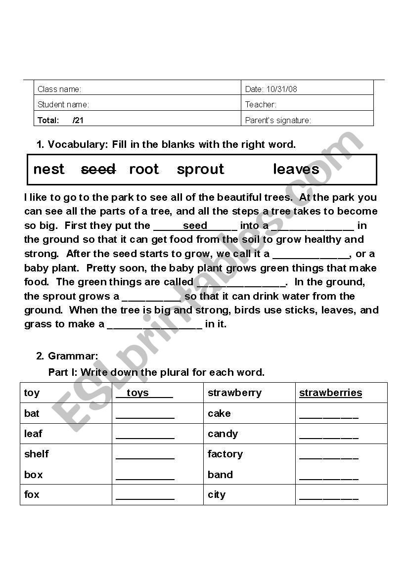 Simple Vocabulary and Grammar Worksheet