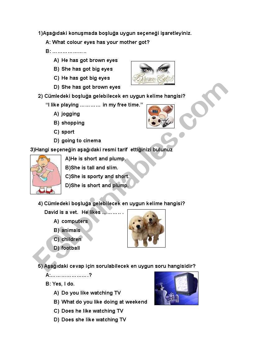 sbs examples worksheet