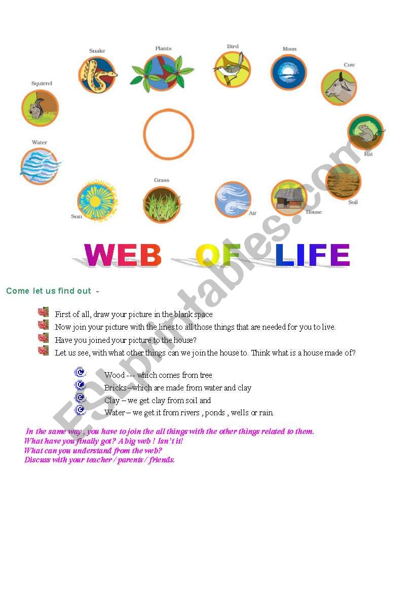 WEB OF LIFE -  ENVIRONMENTAL STUDY 