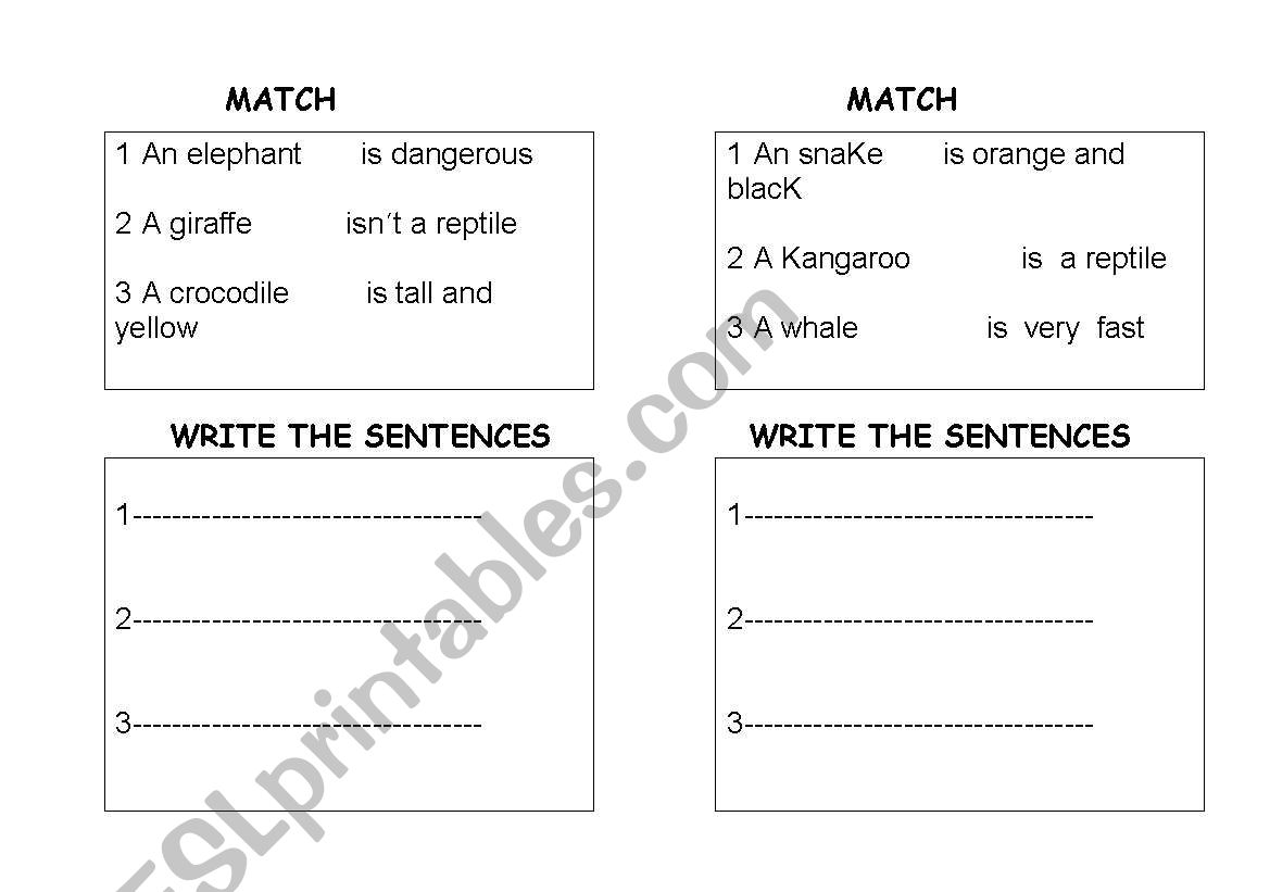 Make sentences about animals worksheet