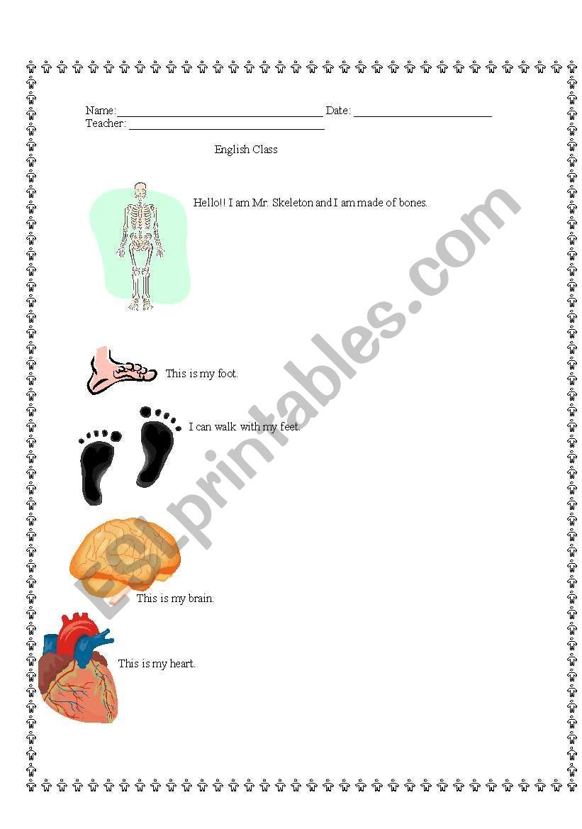 Human Body Parts worksheet