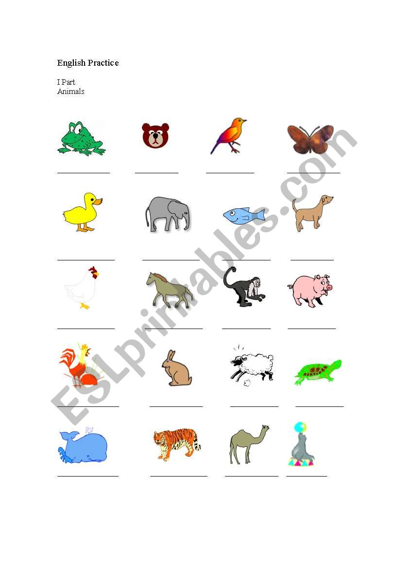 Animals worksheet