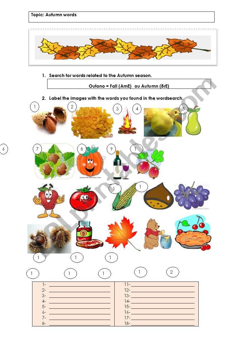 Autumn worksheet