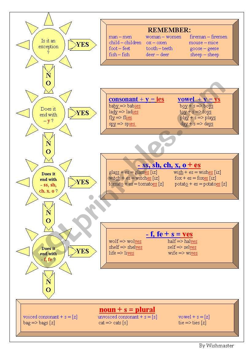 Plural form formation worksheet