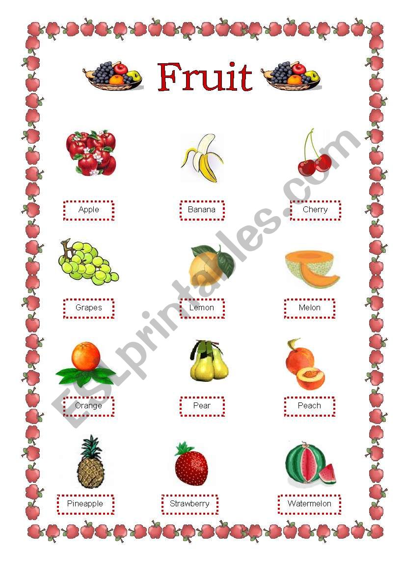 Fruit Handout worksheet