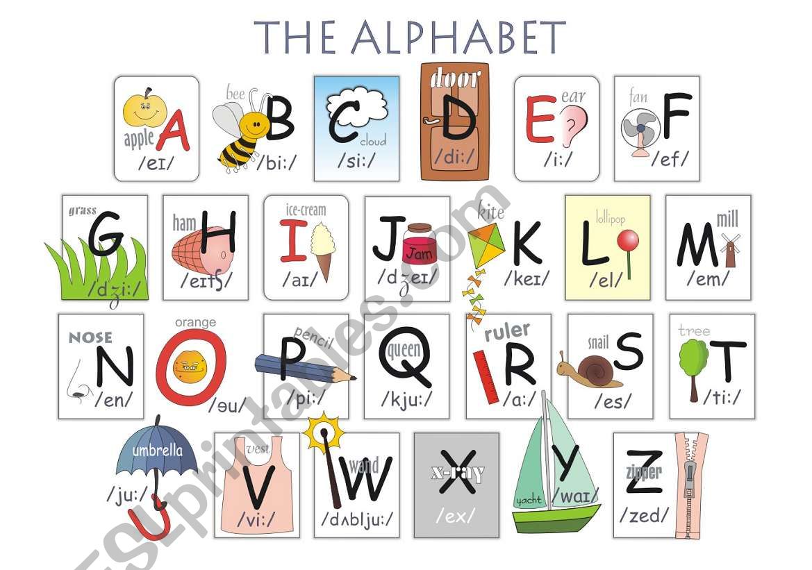 The alphabet worksheet