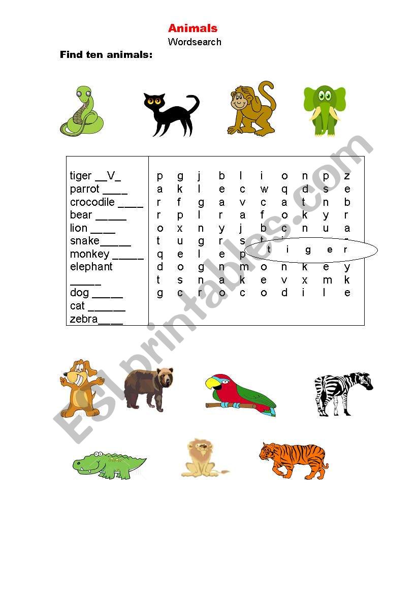 Animals worksheet