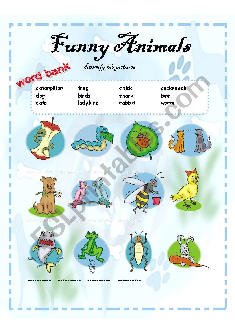 animals  worksheet