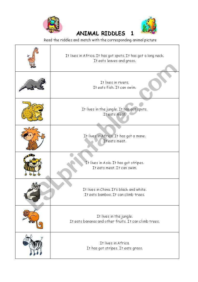 Animal Riddles 1 - ESL worksheet by doraemon2014