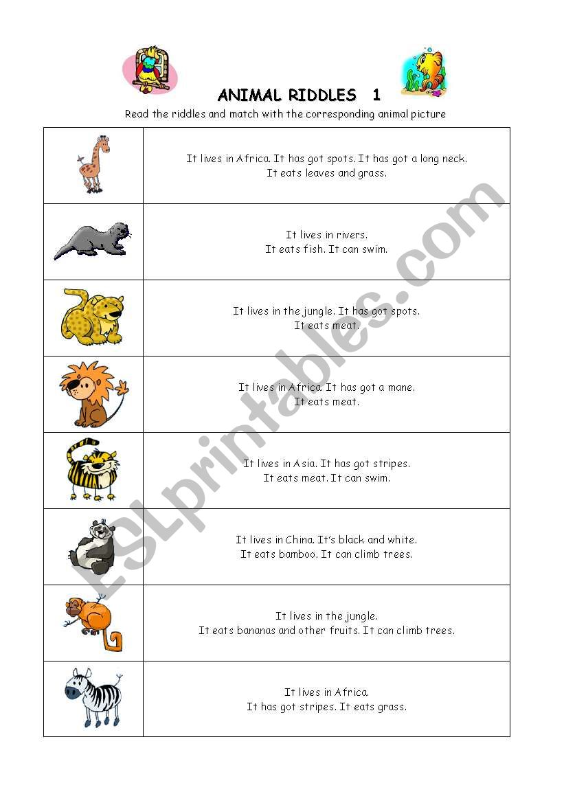 Animal Riddles 1 worksheet