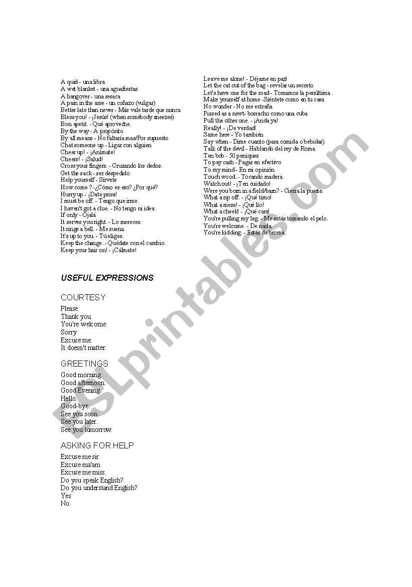 useful english expressions worksheet