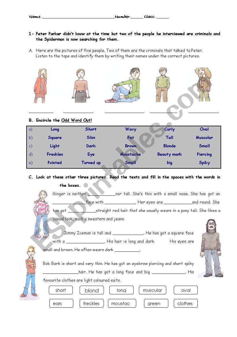 Physical description worksheet