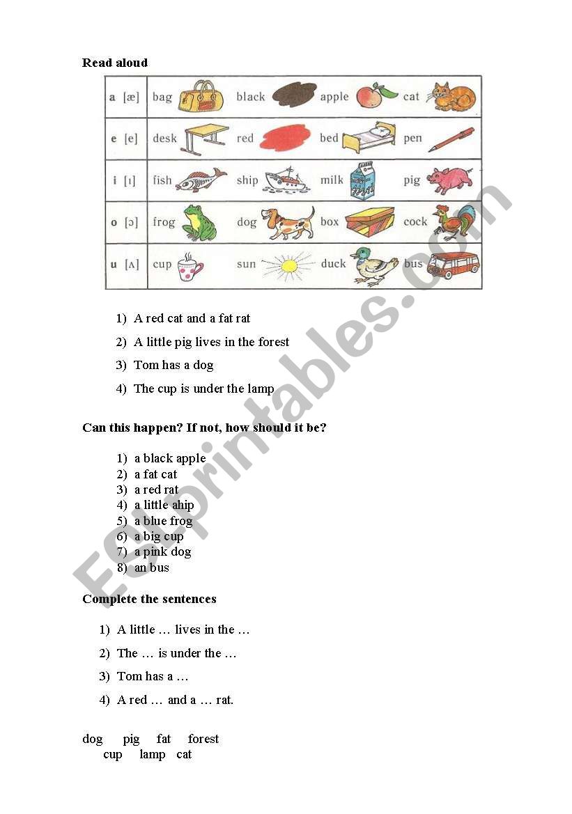 reading worksheet