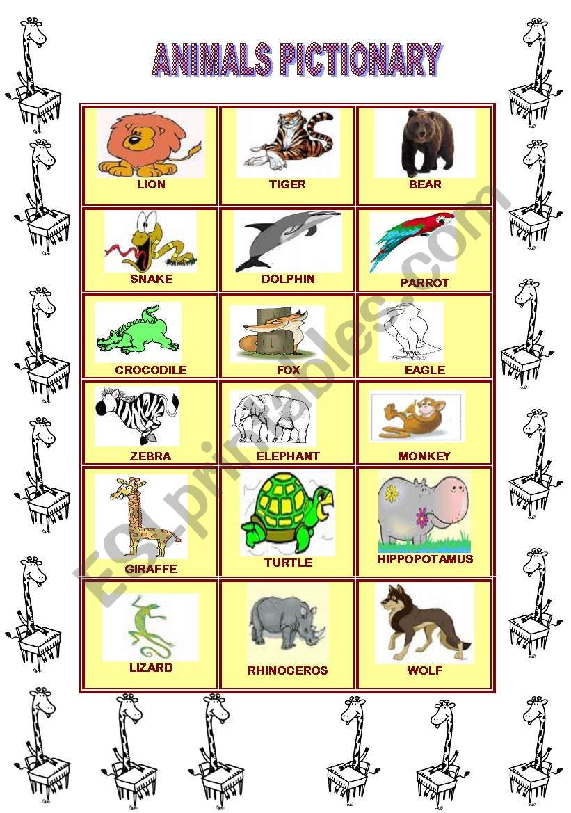 Animals pictionary worksheet