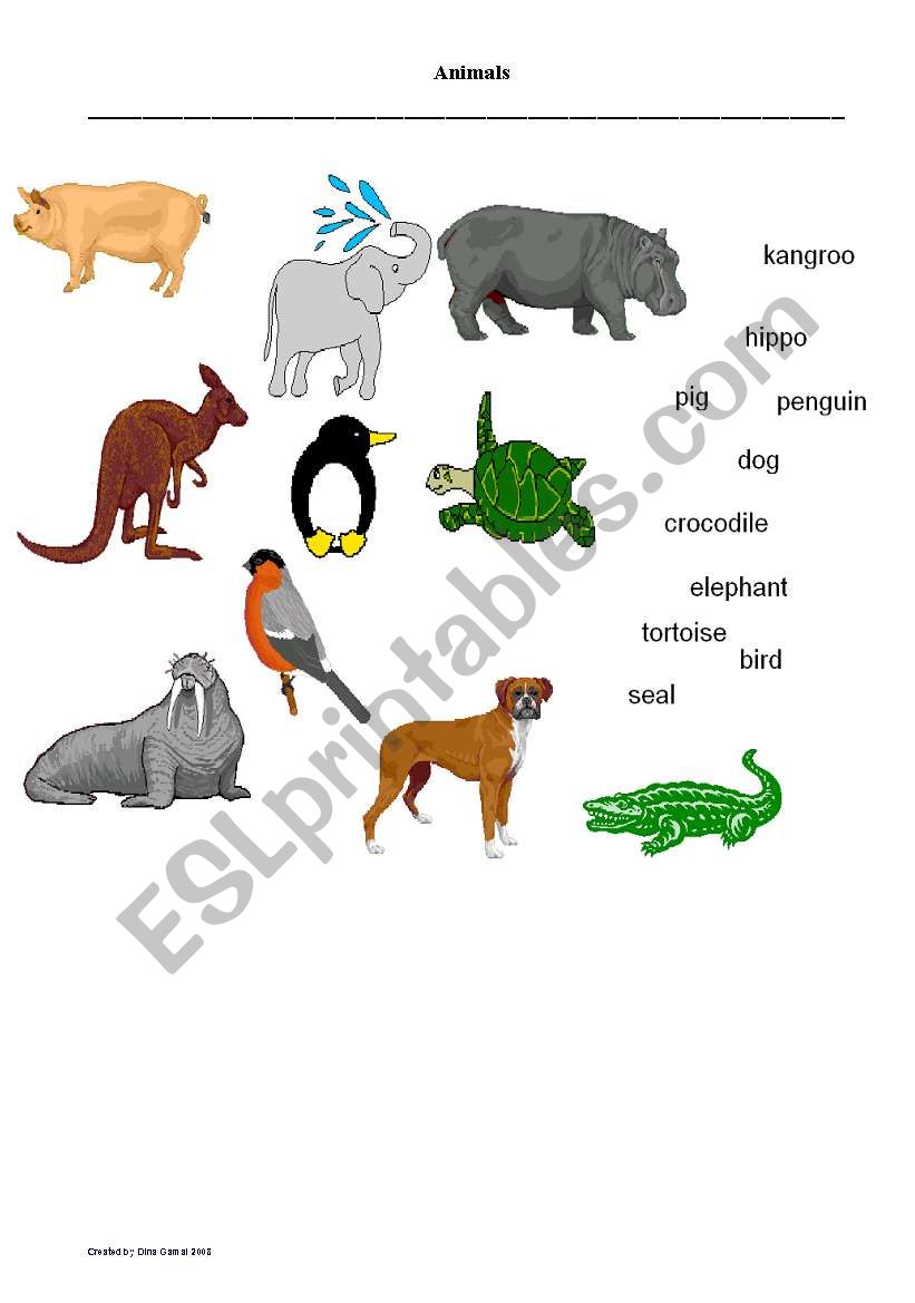 Animals worksheet