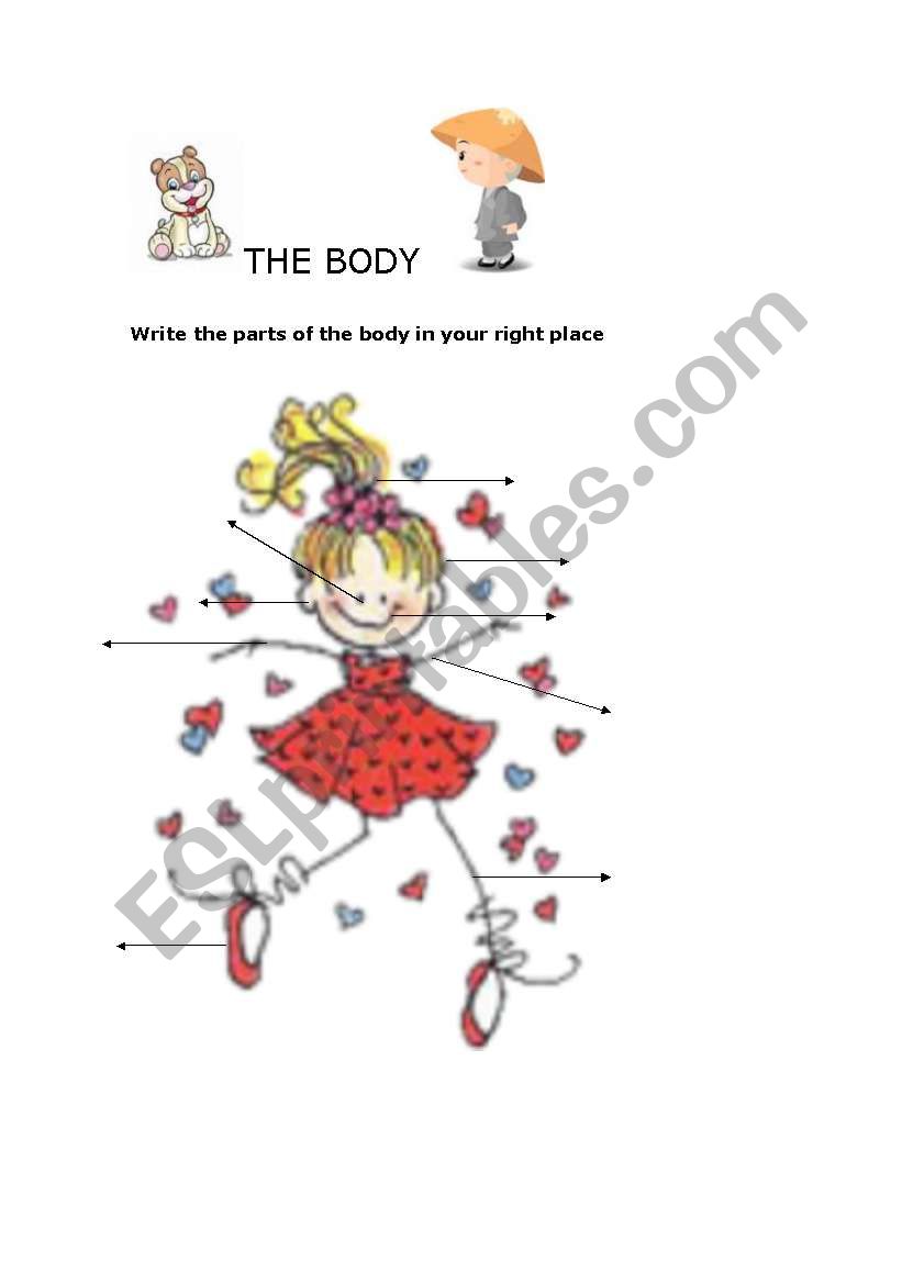 parts of the body  worksheet