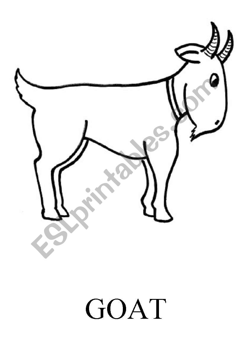 goat flashcard worksheet